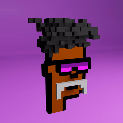 Based Voxel Punks