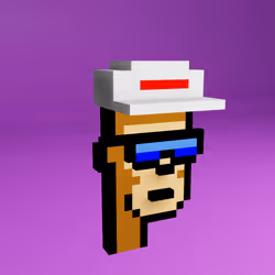 Based Voxel Punks #1229