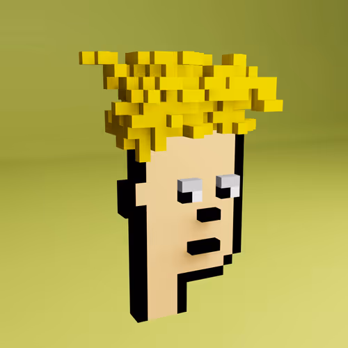 Based Voxel Punks #197