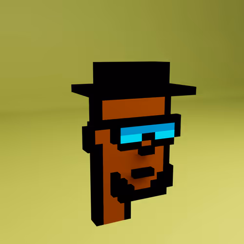 Based Voxel Punks #569