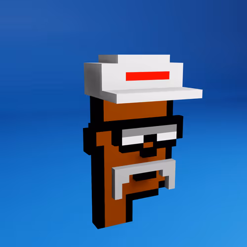 Based Voxel Punks #435