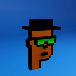 Based Voxel Punks #1532