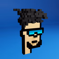 Based Voxel Punks #1987