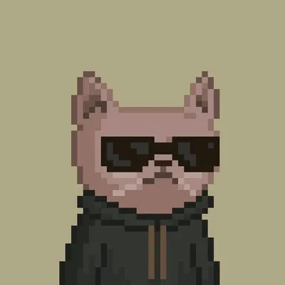 4337