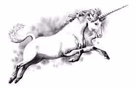 Item #1 Media