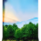 Nature is a canvas