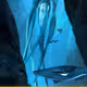 The Leviaquin