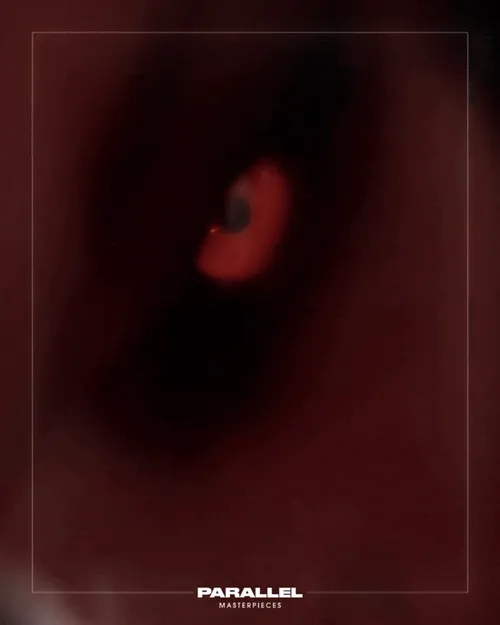 Item #100500243 Media