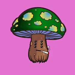 Psilly Head #1711