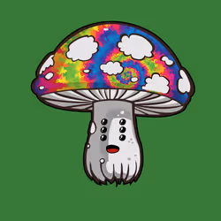 Psilly Head #1269