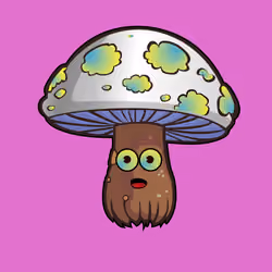 Psilly Head #3317