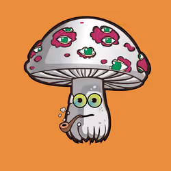 Psilly Head #901