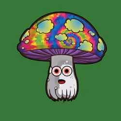 Psilly Head #3459