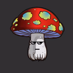 Psilly Head #494