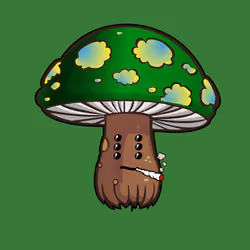 Psilly Head #3947