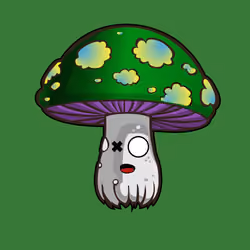 Psilly Head #3237