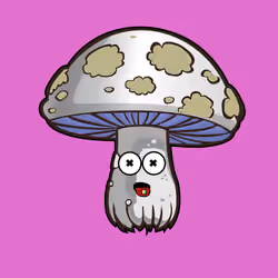 Psilly Head #2383