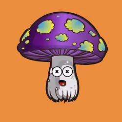 Psilly Head #1779