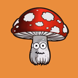Psilly Head #4116