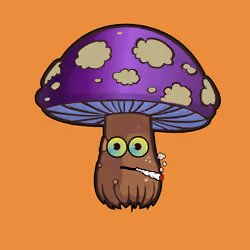 Psilly Head #304