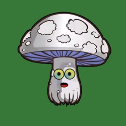 Psilly Head #1488