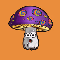 Psilly Head #1872
