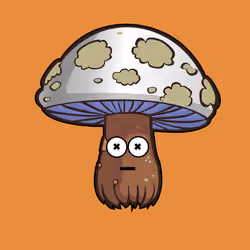 Psilly Head #1022