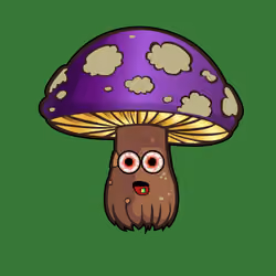 Psilly Head #305