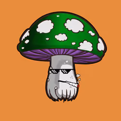 Psilly Head #747