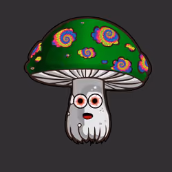 Psilly Head #981