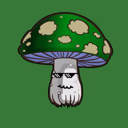 Psilly Head #3406