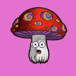 Psilly Head #3959