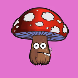 Psilly Head #1487