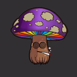 Psilly Head #4112