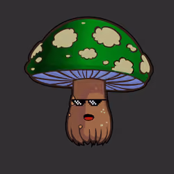 Psilly Head #2032