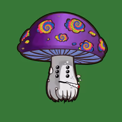 Psilly Head #3039