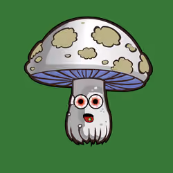 Psilly Head #3766