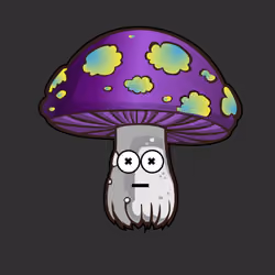 Psilly Head #3826