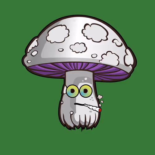 Psilly Head #2511