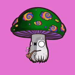 Psilly Head #1250