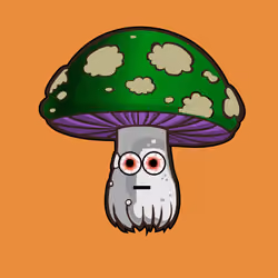 Psilly Head #2424
