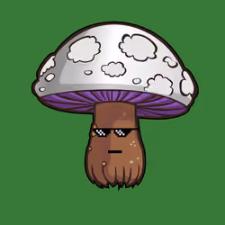 Psilly Head #693