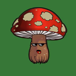 Psilly Head #1777