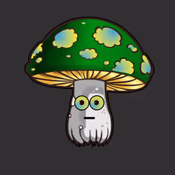 Psilly Head #1843