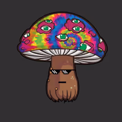 Psilly Head #3019