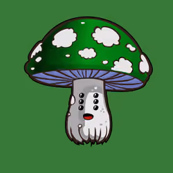Psilly Head #3923