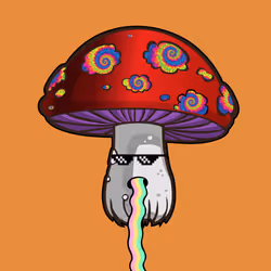 81