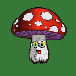 Psilly Head #1245