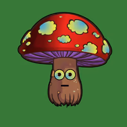 Psilly Head #2916