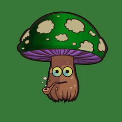 Psilly Head #3783
